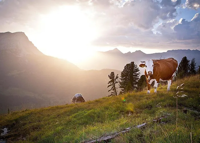 شقة Drei Sonnen Reihan *