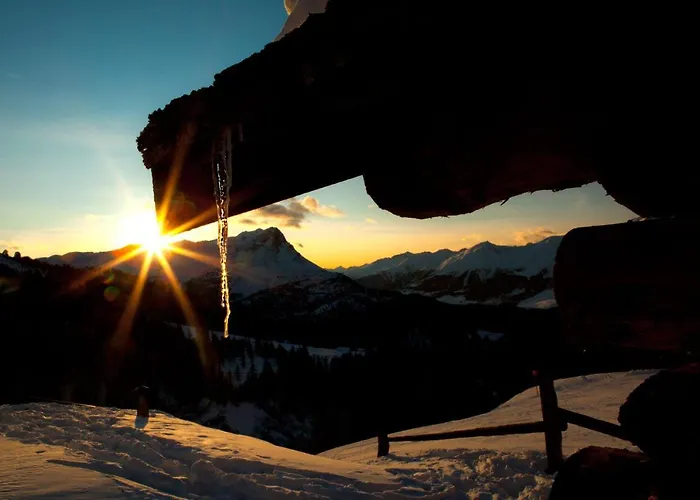 Drei Sonnen Reihan *