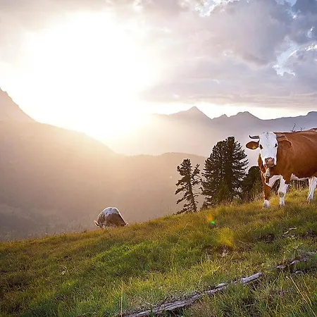 Daire Drei Sonnen Reihan *